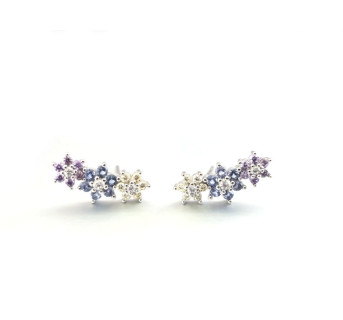 Pendientes trepadores Flores plata