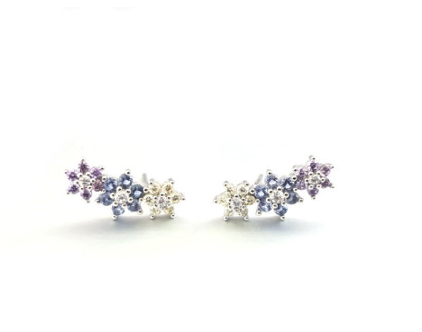 Pendientes trepadores Flores plata