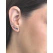 Pendientes Trepadores plata de color Pendientes Trepadores plata de color