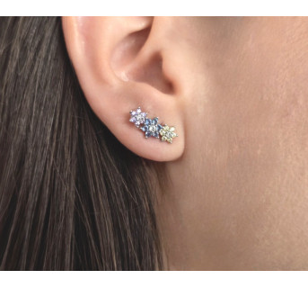 Pendientes trepadores Flores plata