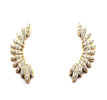 Pendientes Trepadores plata circonitas