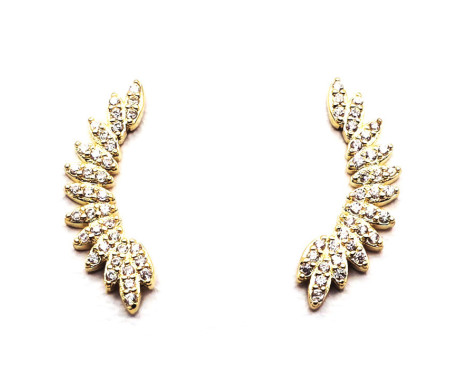 Pendientes Trepadores plata circonitas