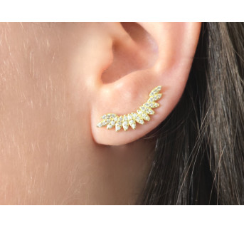 Pendientes Trepadores plata circonitas